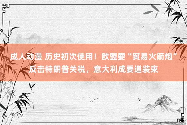 成人动漫 历史初次使用！欧盟要“贸易火箭炮”反击特朗普关税，意大利成要道装束
