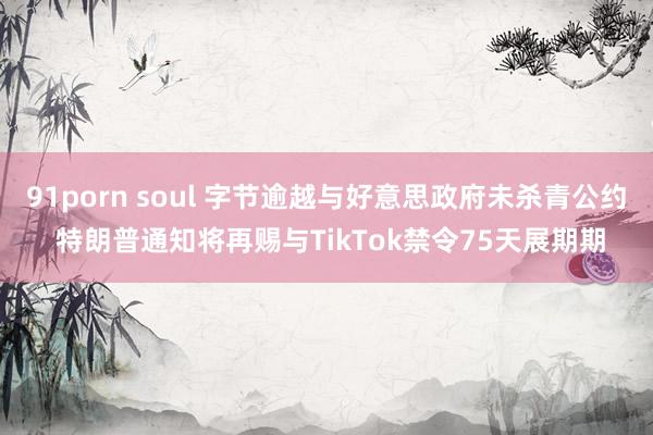 91porn soul 字节逾越与好意思政府未杀青公约 特朗普通知将再赐与TikTok禁令75天展期期