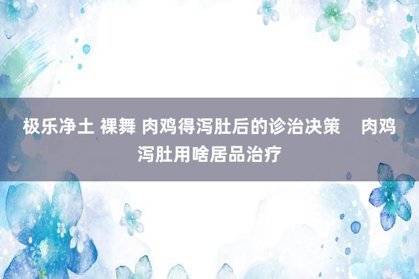 极乐净土 裸舞 肉鸡得泻肚后的诊治决策    肉鸡泻肚用啥居品治疗