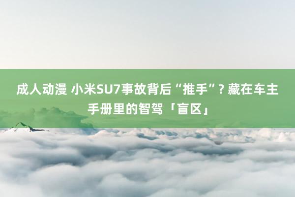 成人动漫 小米SU7事故背后“推手”? 藏在车主手册里的智驾「盲区」