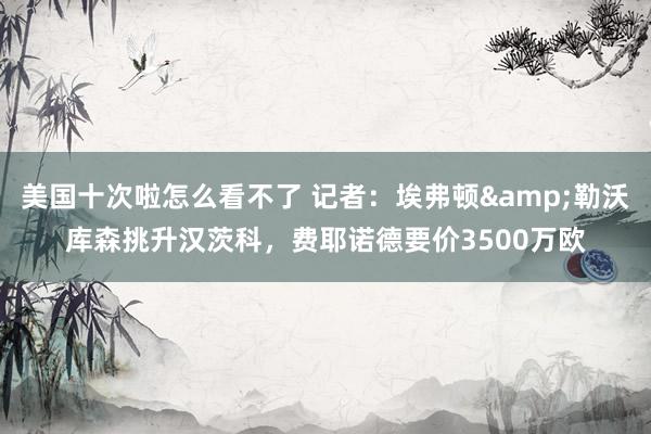 美国十次啦怎么看不了 记者：埃弗顿&勒沃库森挑升汉茨科，费耶诺德要价3500万欧