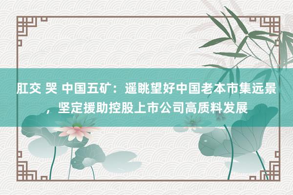 肛交 哭 中国五矿：遥眺望好中国老本市集远景，坚定援助控股上市公司高质料发展