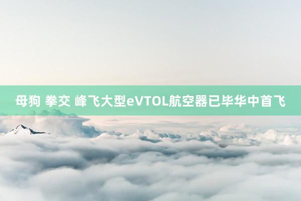 母狗 拳交 峰飞大型eVTOL航空器已毕华中首飞