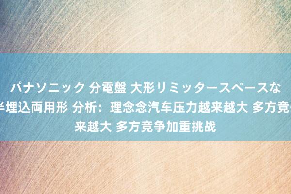 パナソニック 分電盤 大形リミッタースペースなし 露出・半埋込両用形 分析：理念念汽车压力越来越大 多方竞争加重挑战