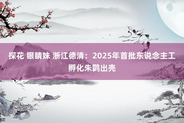 探花 眼睛妹 浙江德清：2025年首批东说念主工孵化朱鹮出壳