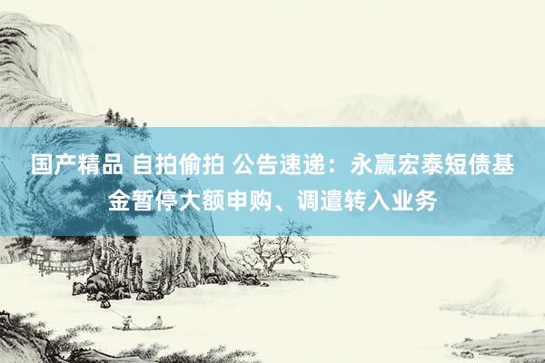 国产精品 自拍偷拍 公告速递：永赢宏泰短债基金暂停大额申购、调遣转入业务