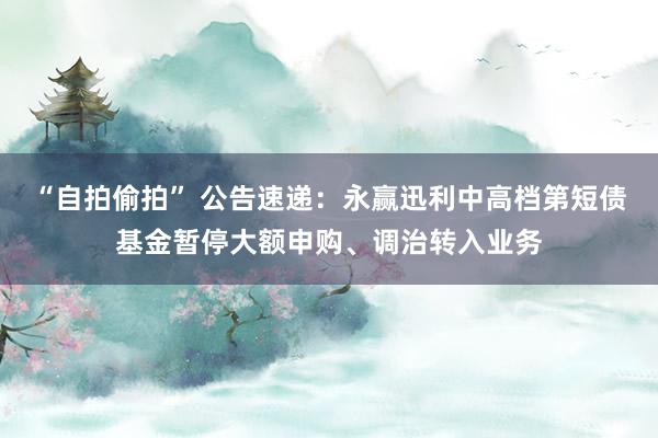“自拍偷拍” 公告速递：永赢迅利中高档第短债基金暂停大额申购、调治转入业务