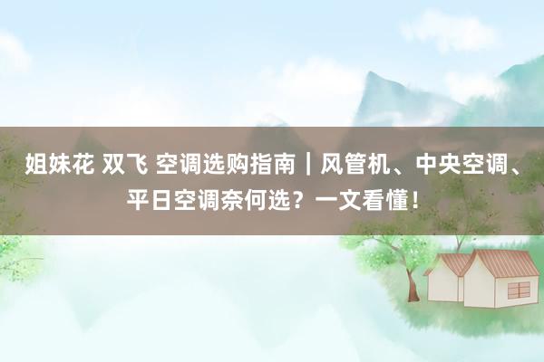 姐妹花 双飞 空调选购指南｜风管机、中央空调、平日空调奈何选？一文看懂！