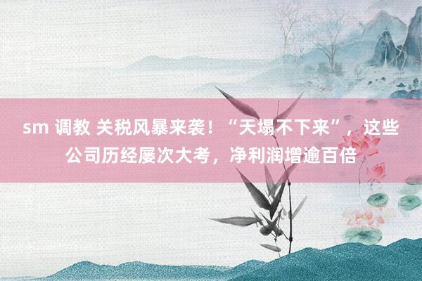 sm 调教 关税风暴来袭！“天塌不下来”，这些公司历经屡次大考，净利润增逾百倍