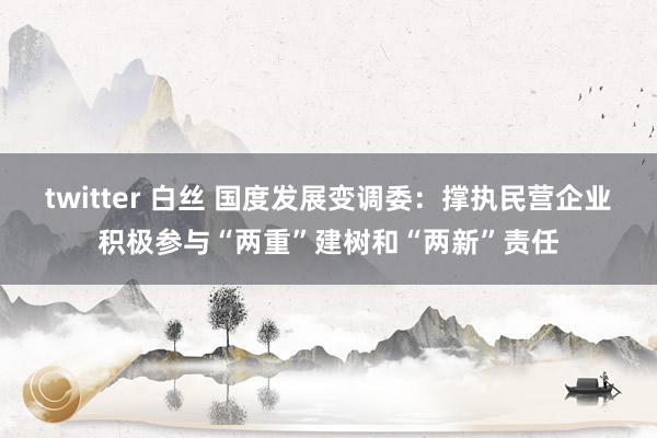 twitter 白丝 国度发展变调委：撑执民营企业积极参与“两重”建树和“两新”责任