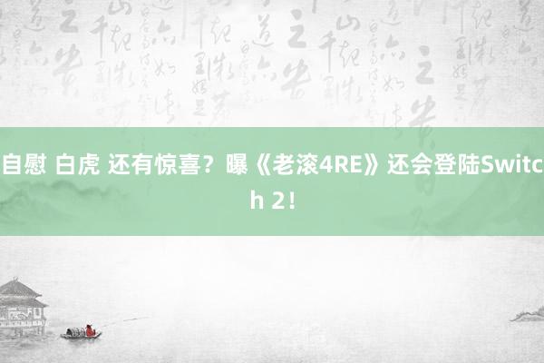 自慰 白虎 还有惊喜？曝《老滚4RE》还会登陆Switch 2！
