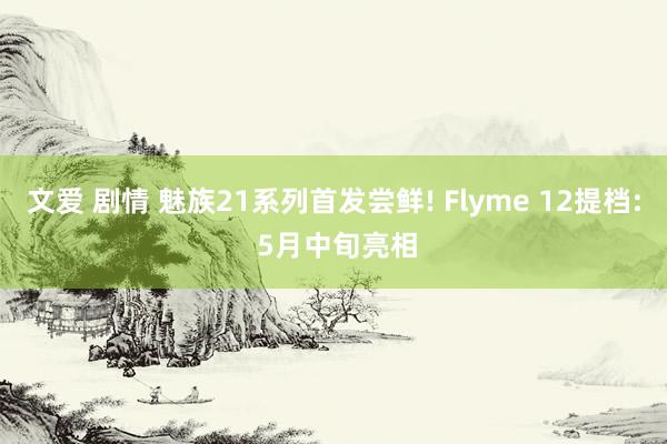 文爱 剧情 魅族21系列首发尝鲜! Flyme 12提档: 5月中旬亮相