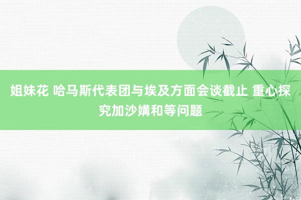 姐妹花 哈马斯代表团与埃及方面会谈截止 重心探究加沙媾和等问题