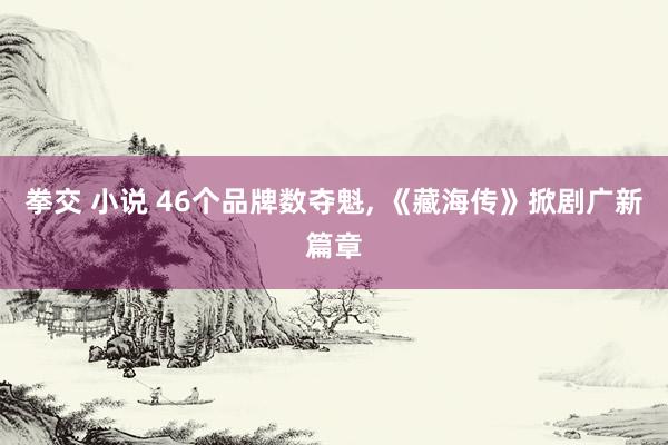 拳交 小说 46个品牌数夺魁， 《藏海传》掀剧广新篇章