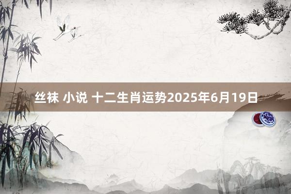 丝袜 小说 十二生肖运势2025年6月19日