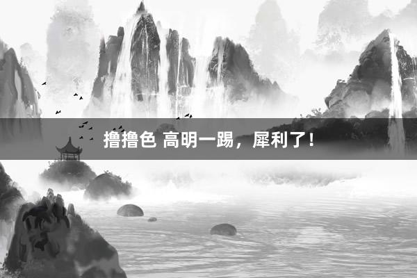 撸撸色 高明一踢，犀利了！